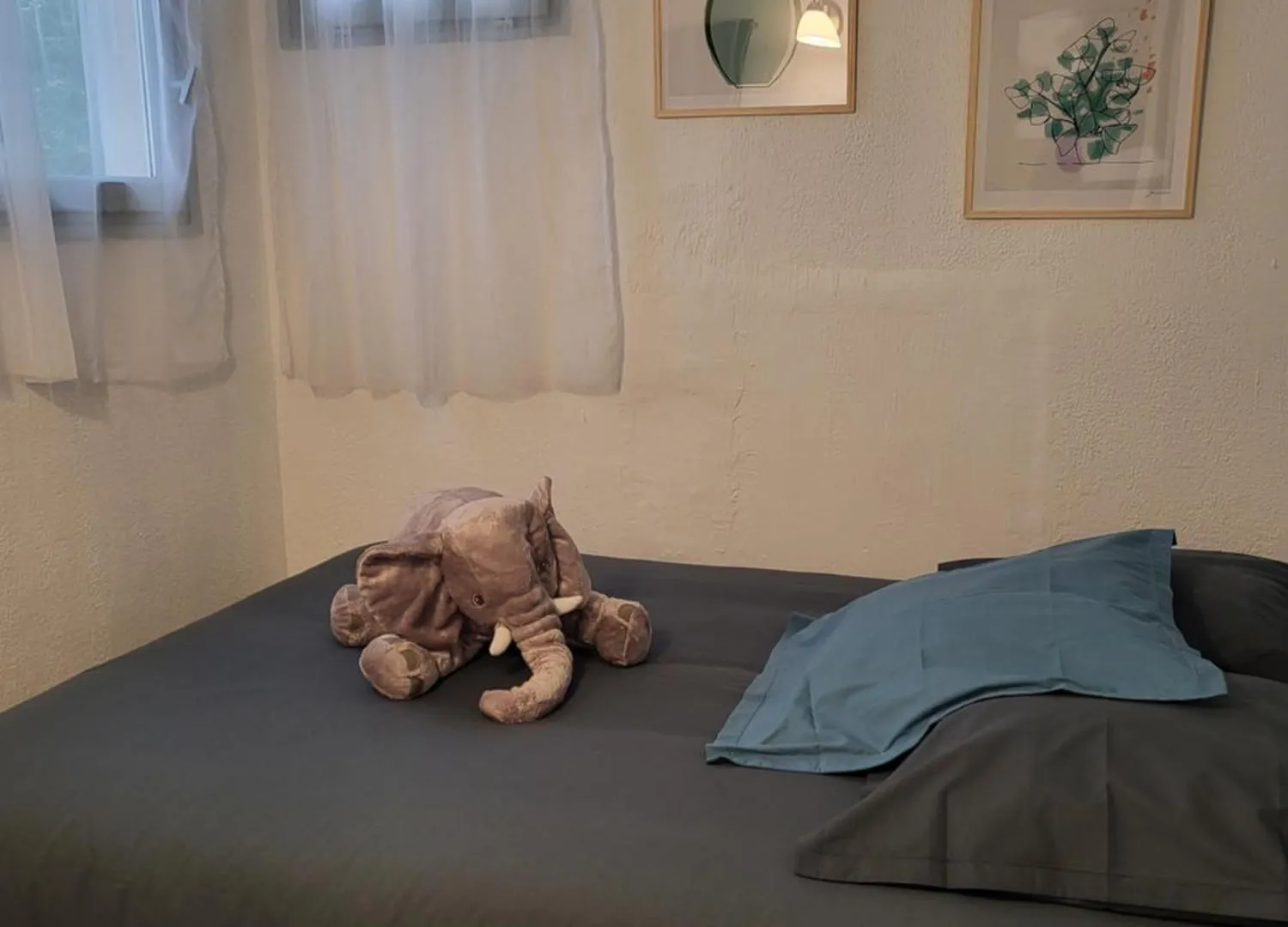 Appartement Studio/2 Pieces, Terrasse Avignon France