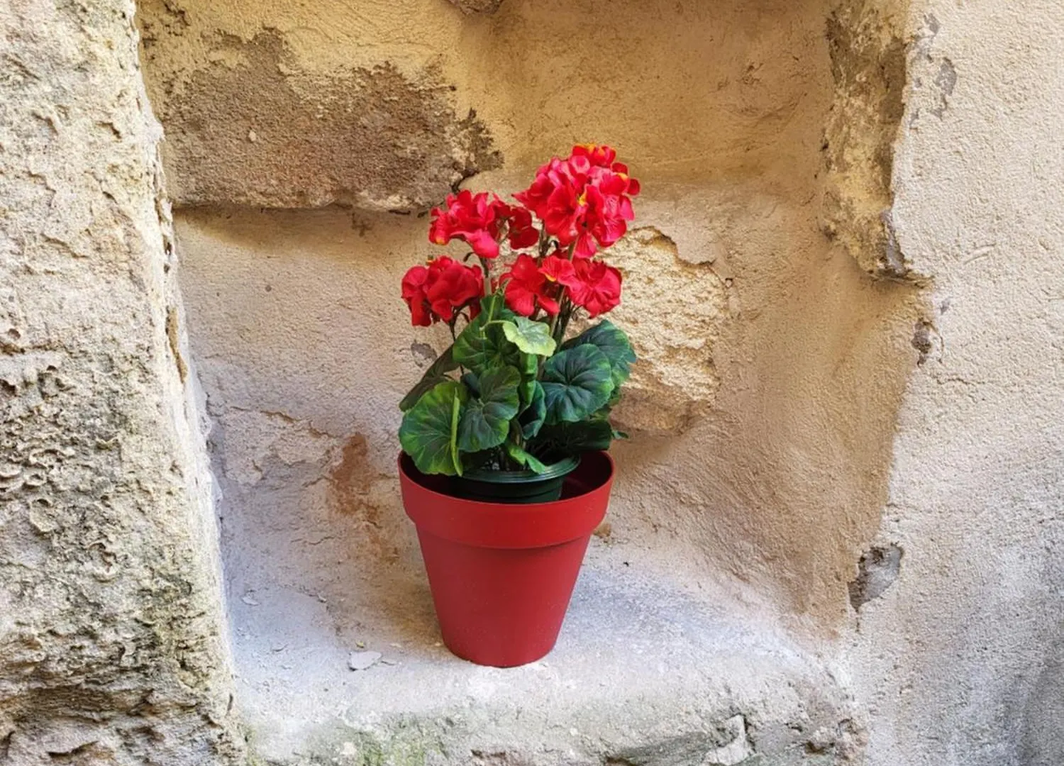 Appartement Studio/2 Pieces, Terrasse Avignon